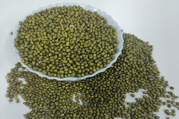 Moong Packaging