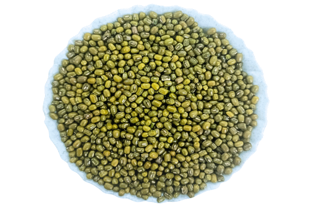 Whole Moong
